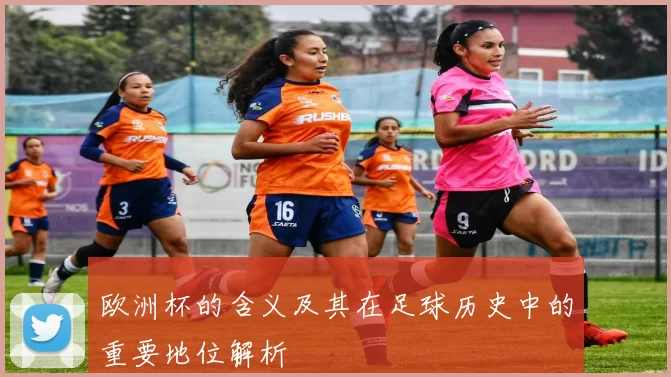 欧洲杯的含义及其在足球历史中的重要地位解析