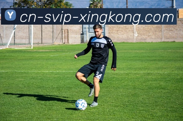 星空体育官方平台生态图