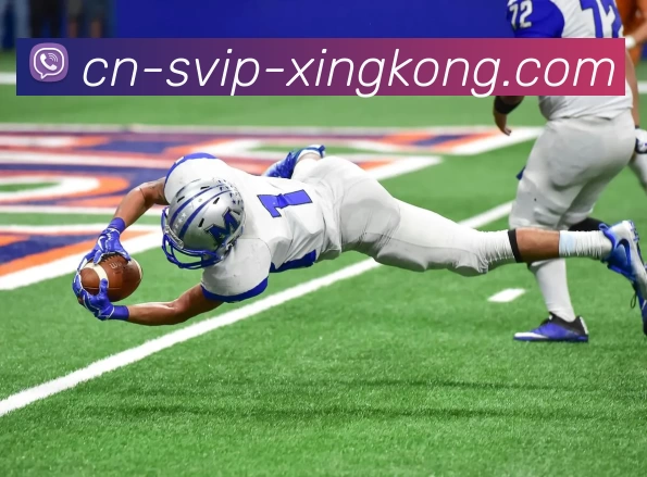 星空体育官方APP 封面图