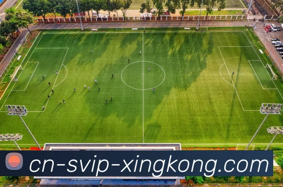 数据防护可视化